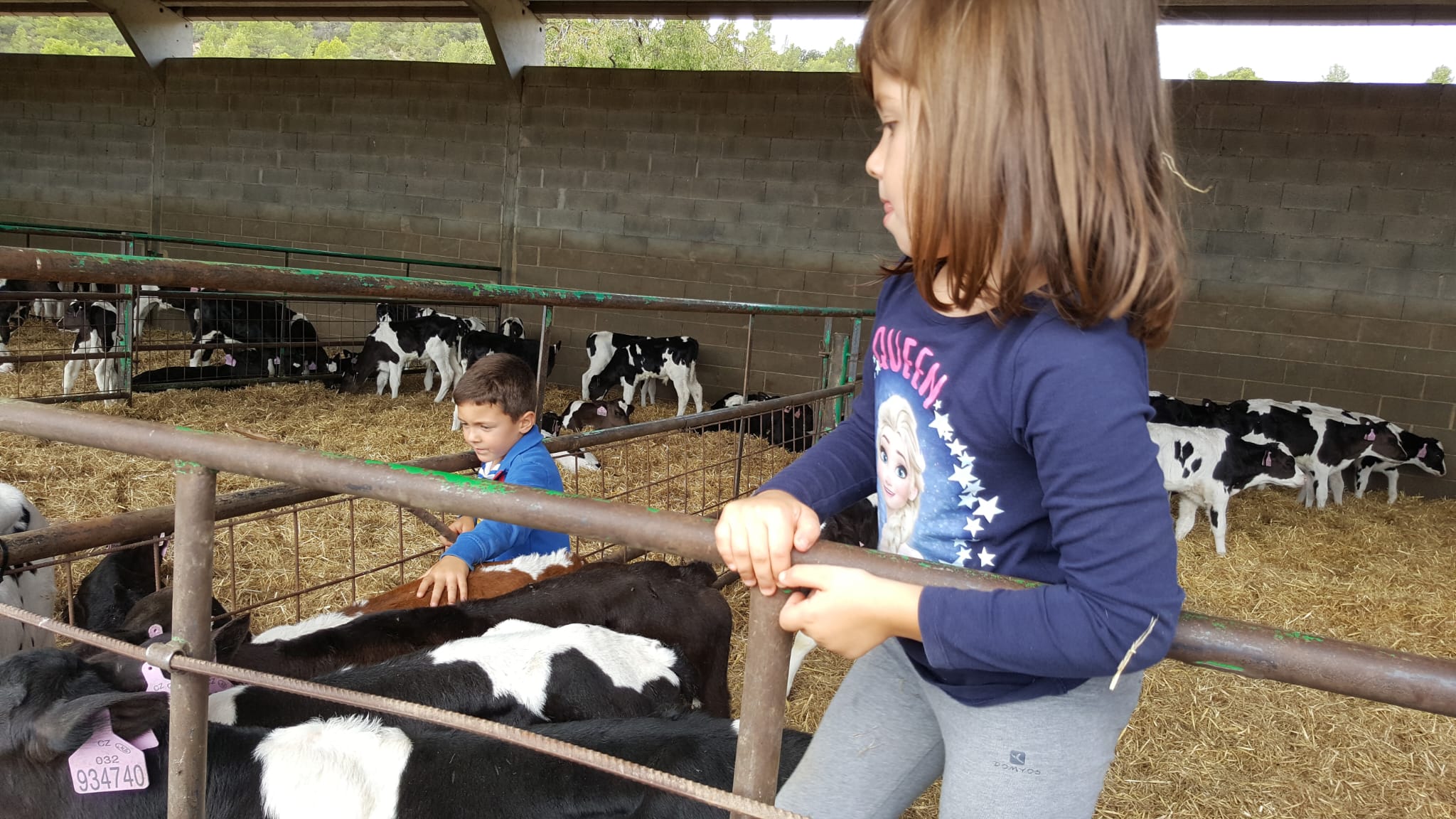 nens granja nens granja